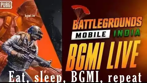 75+ Best BGMI Quotes, Shayari & Status
