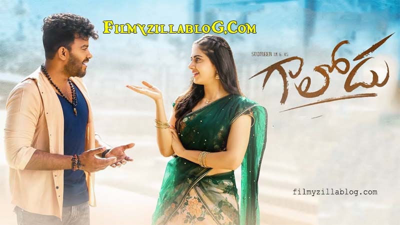 Gaalodu Movie Download FilmyZilla 480p 720p 1080p