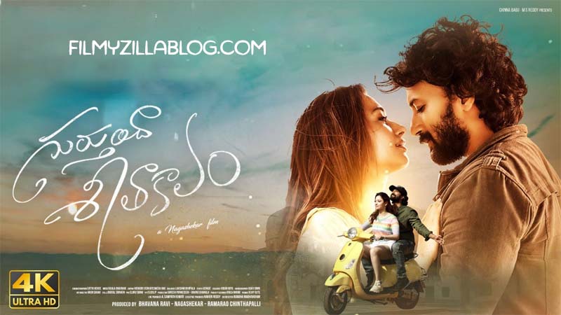 Gurtundha Seetakalam Movie Download FilmyZilla 480p 720p 1080p