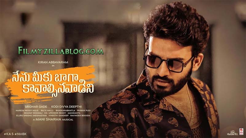 Nenu Meeku Baaga Kavalsinavaadini Movie Download FilmyZilla 480p 720p 1080p