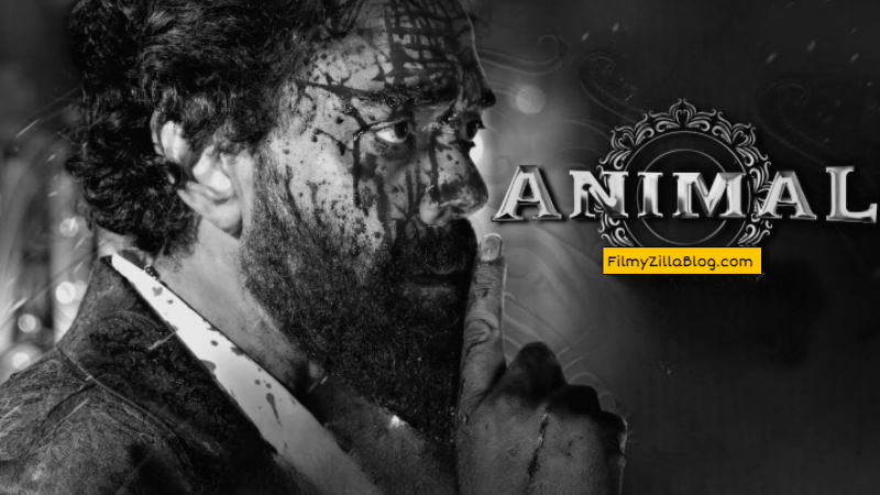 Animal Movie Download Filmyzilla 480p 720p Watch Online